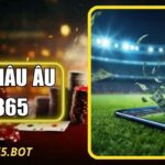 Kèo Châu Âu OK365 - Sân Chơi Và Thông Tin Quan Trọng