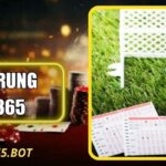 Kèo Rung OK365? Bí Kíp Chinh Phục Kèo Cược Hiệu Quả
