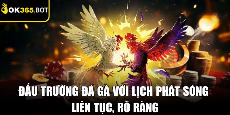 Đấu trường đá gà với lịch phát sóng liên tục, rõ ràng